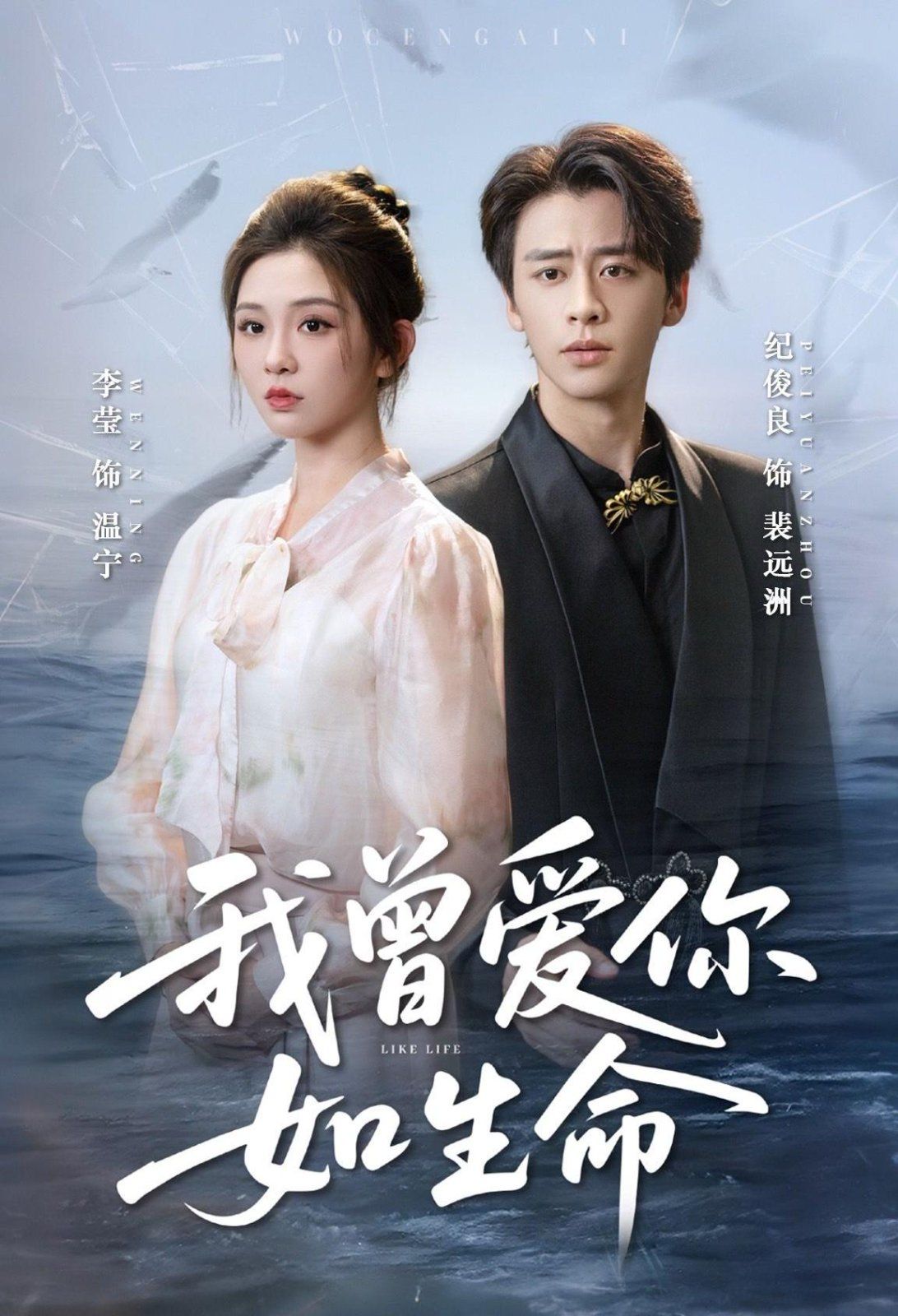 我曾愛(ài)你如生命（寧夜向遠(yuǎn)）(全集)