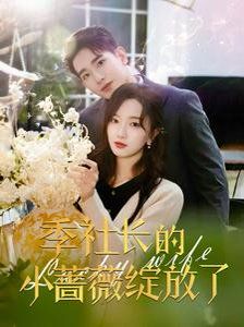 季社長的小薔薇綻放了(全集)