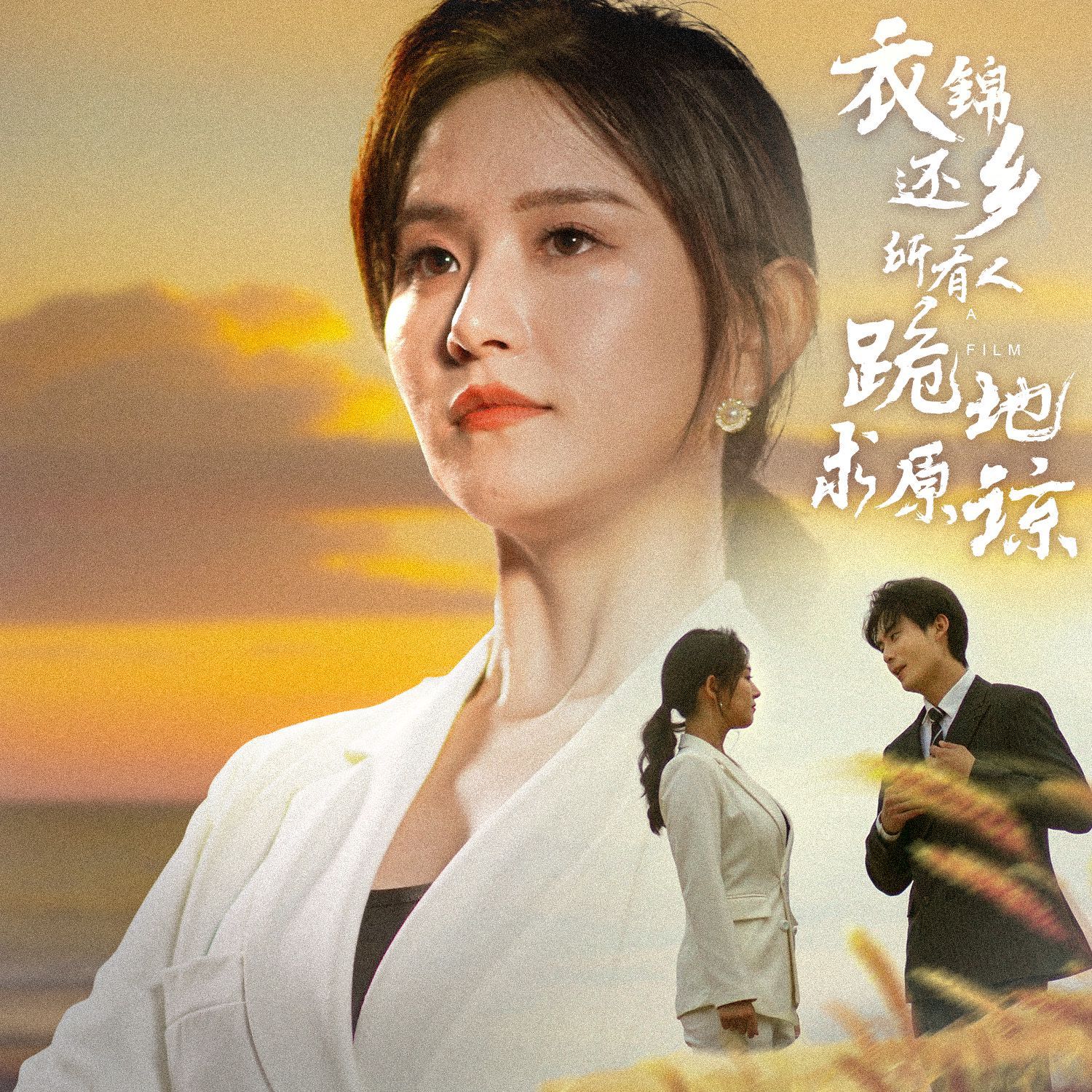 衣錦還鄉(xiāng)，所有人跪地求原諒(全集)