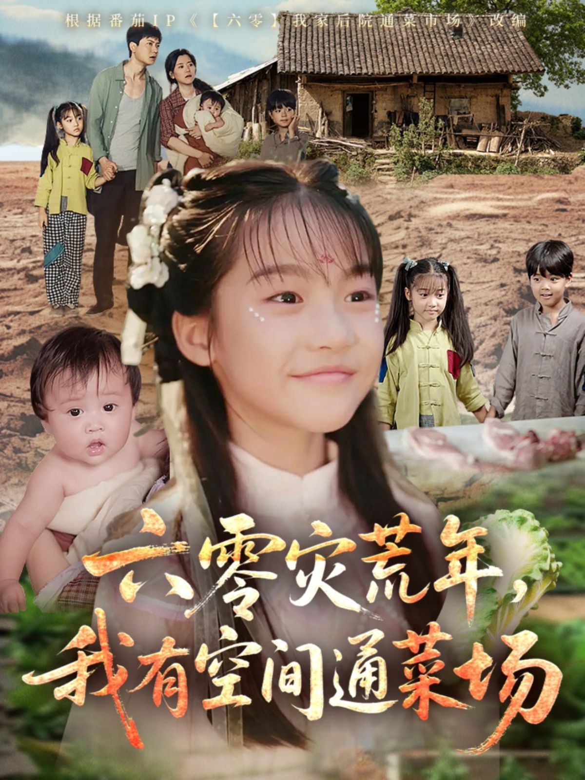 六零災(zāi)荒年，我有空間通菜場(chǎng)(全集)