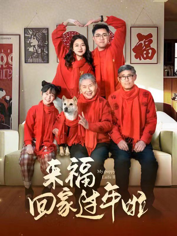 來?；丶疫^年啦(全集)