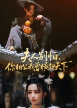 夫人別怕，你相公我曾橫掃天下(全集)