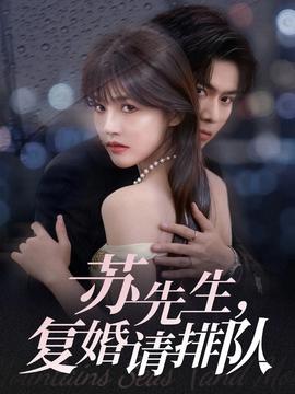 蘇先生，復(fù)婚請排隊(全集)