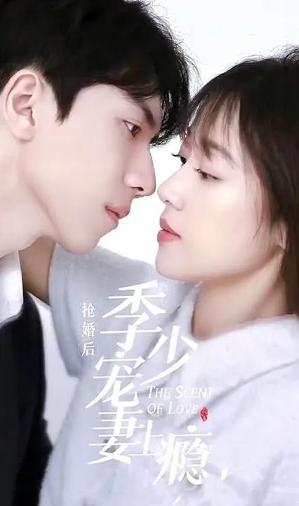 搶婚后，季少寵妻上癮(全集)