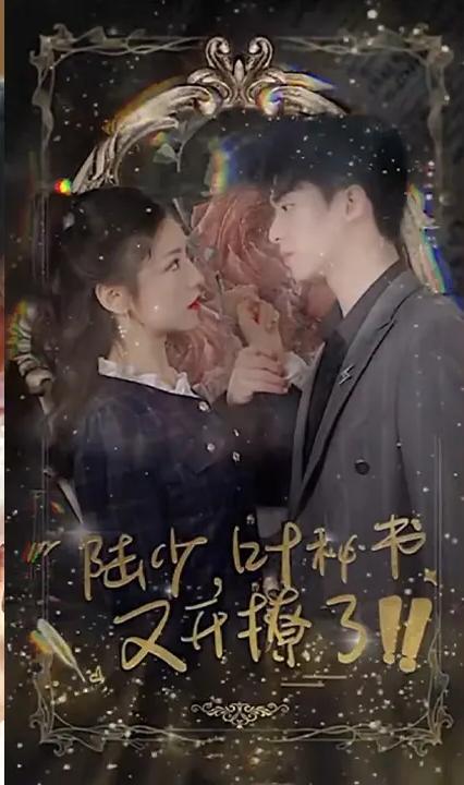 陸少，葉秘書又開撩了！(全集)